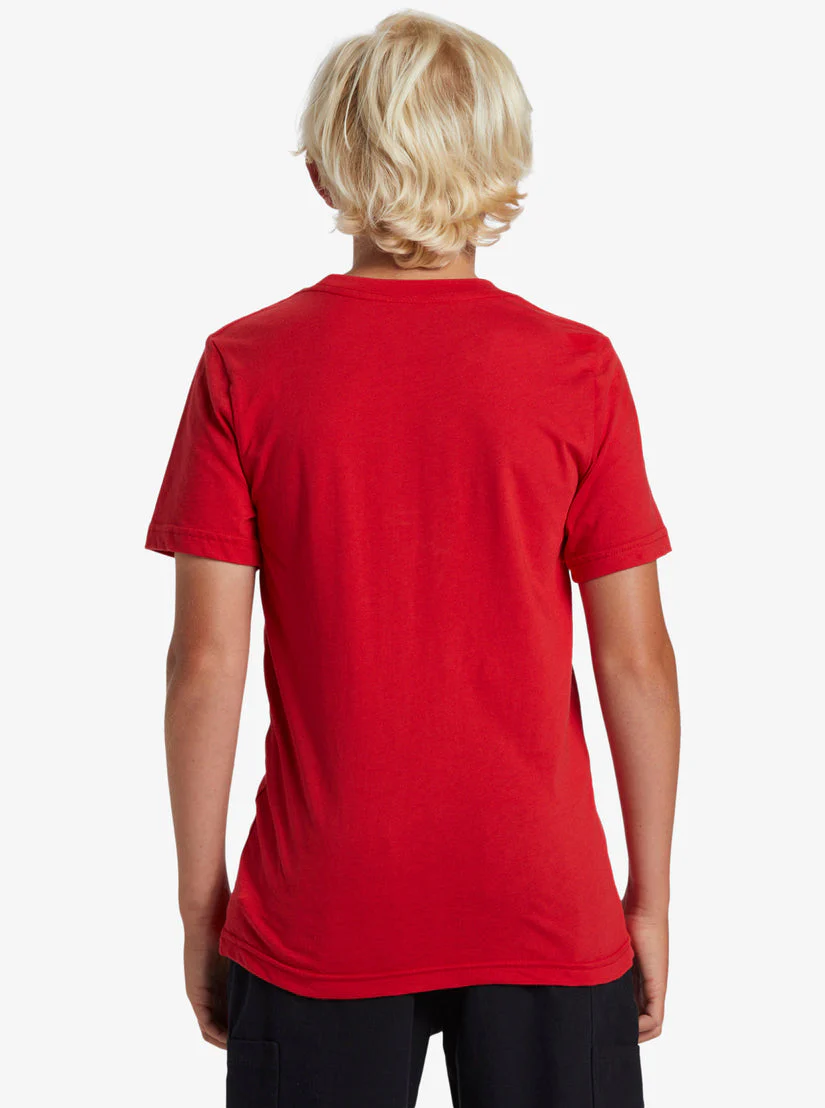 QUIKSILVER NIÑO TSHIRT BUBBLE ARCH Y13169